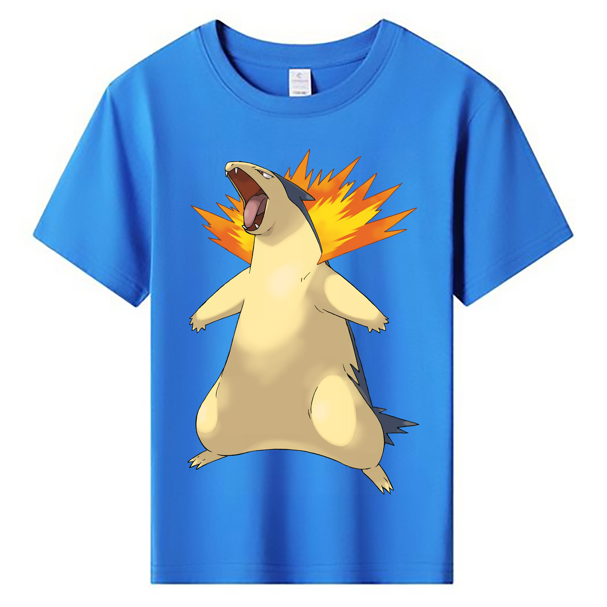 （画像用） ポケットモンスター Pokémon 綿100％キッズTシャツ（フロントプリント）